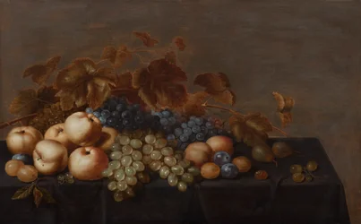 Stillleben von Obst auf einem mit einem dunklen Tuch bedeckten Tisch: Pflaumen, Äpfel, Trauben und Birnen